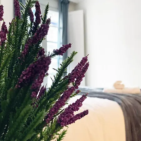 Apartment Zazpikaleak By Staynnapartments Bilbao